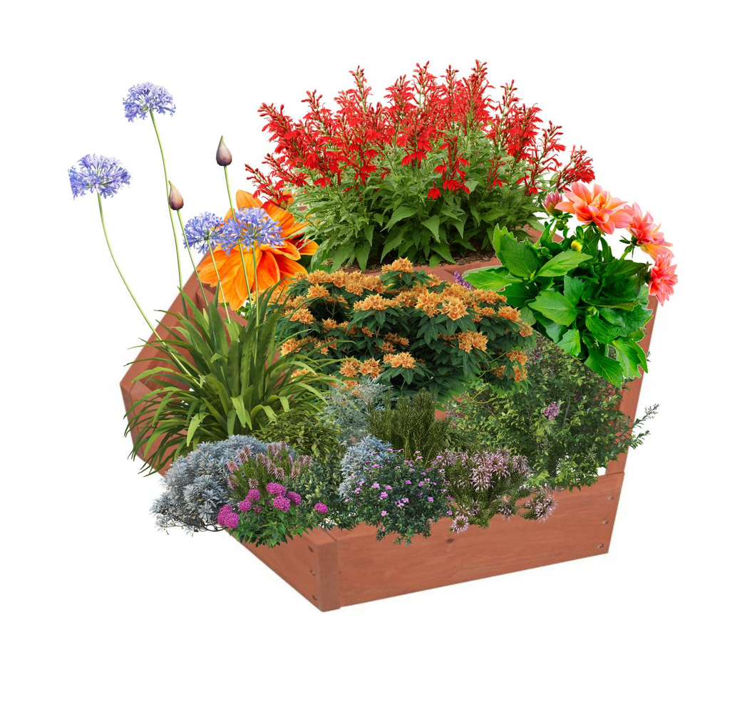 DIAGONAL PLANT ORGANIZER