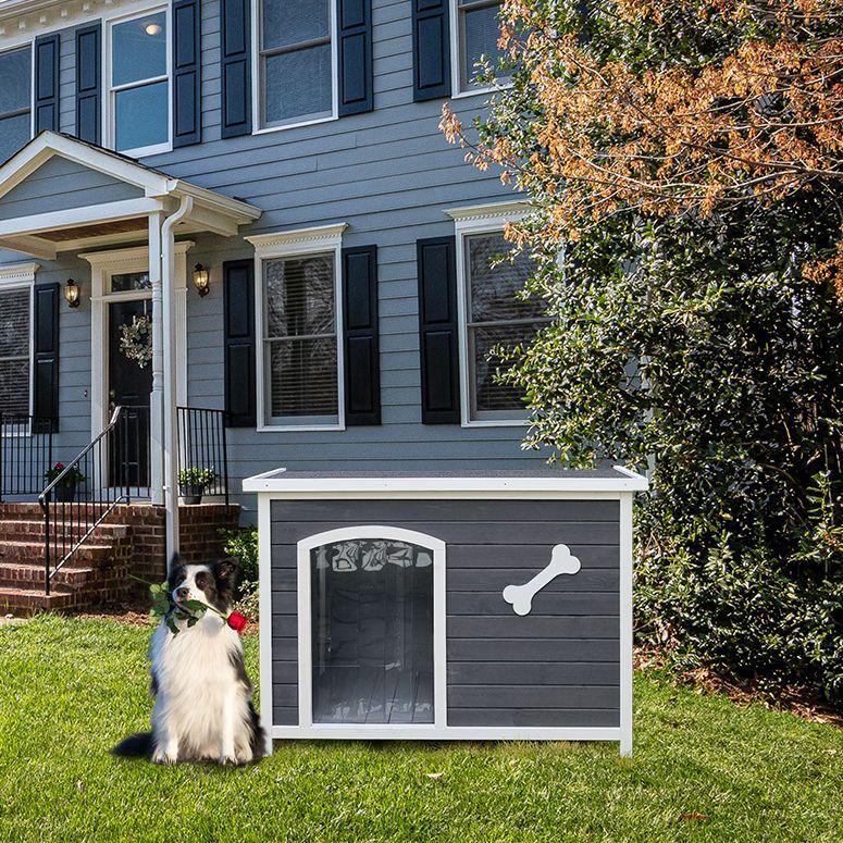 Dog Cage