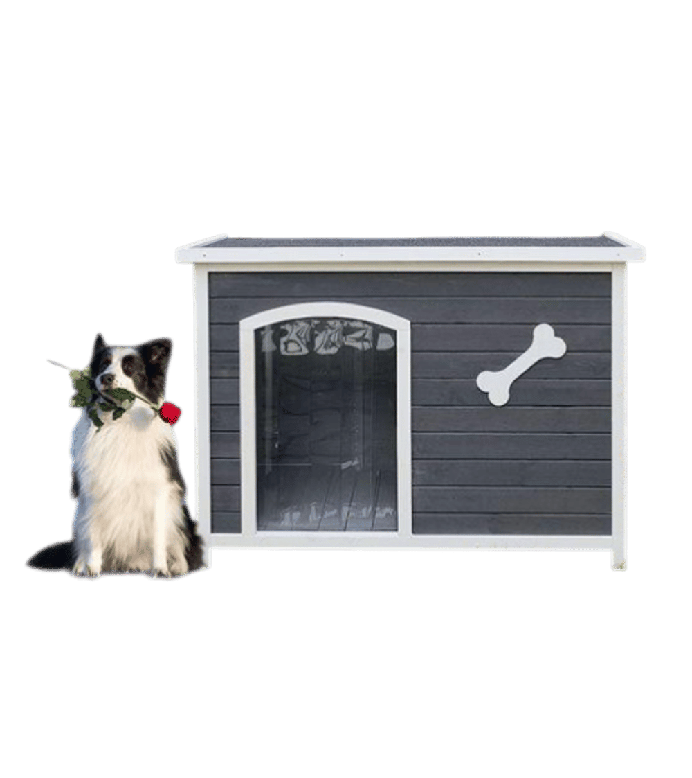 Dog Cage